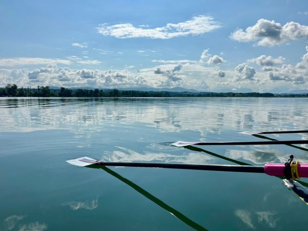 3445d554 b406 4971 b770c614304059